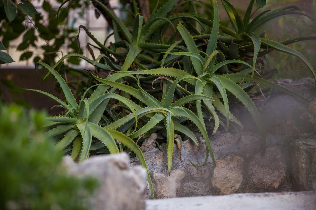 Apartments Pol Murvu Vis Ngoại thất bức ảnh